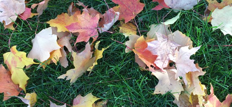 October 2019 E-Newsletter